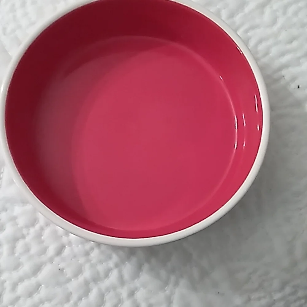 Rae Dunn kitty water bowl